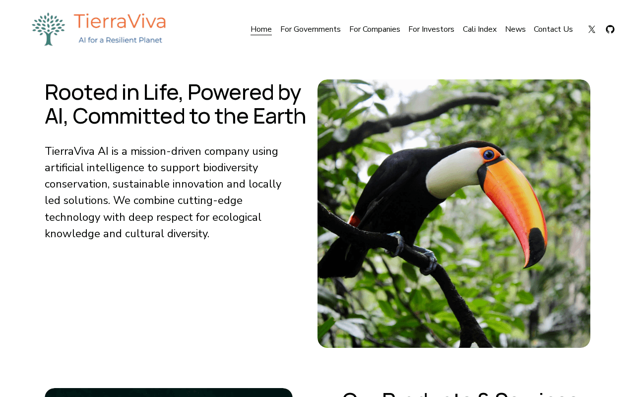 Screenshot of tierraviva.ai