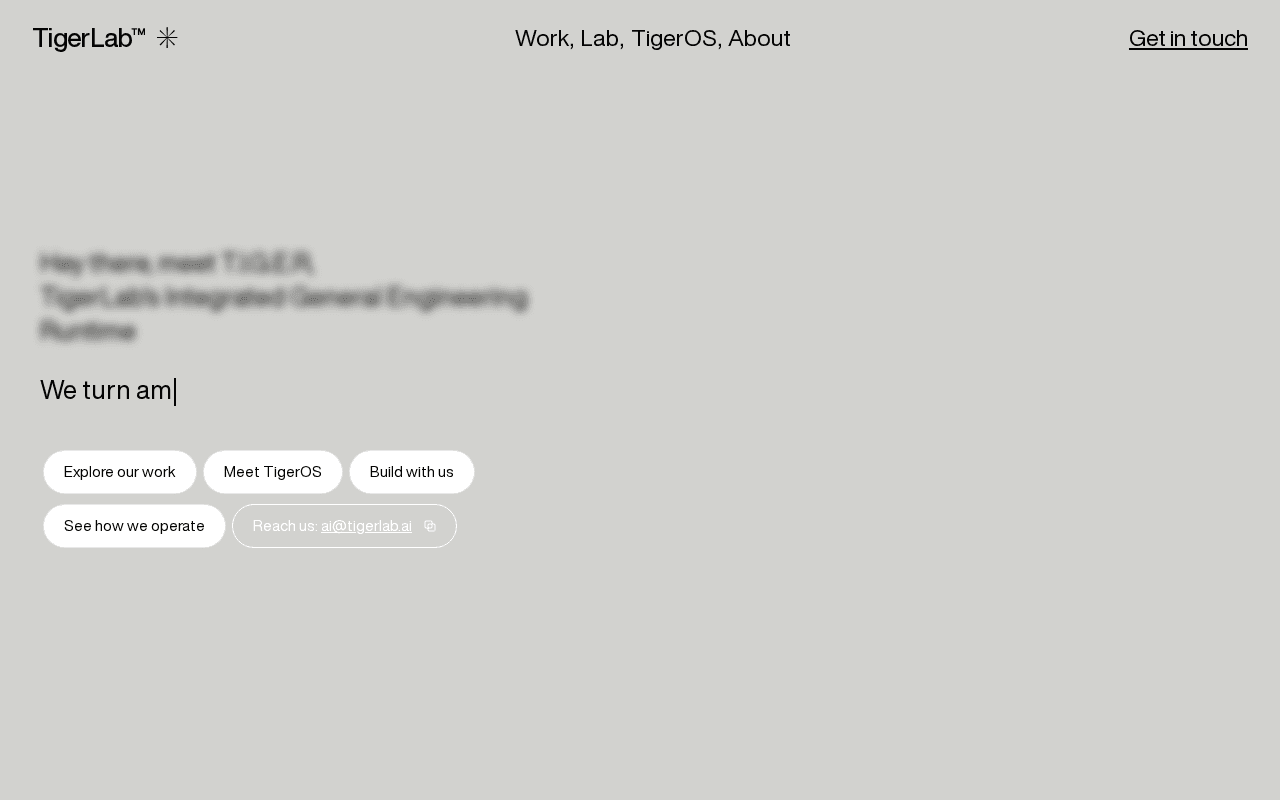 Screenshot of tigerlab.ai