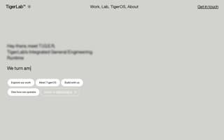Screenshot of tigerlab.ai