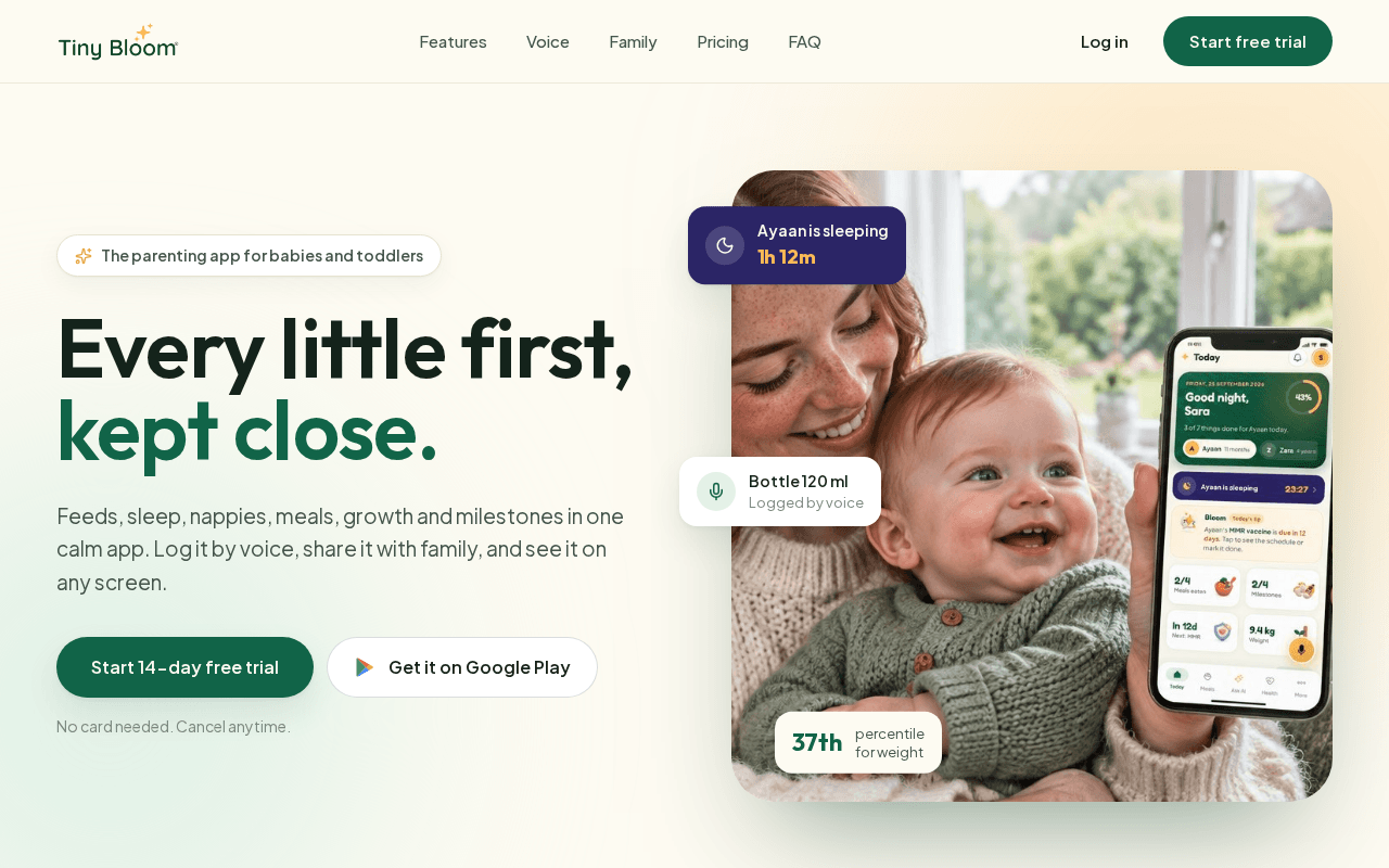 Screenshot of tinybloom.ai