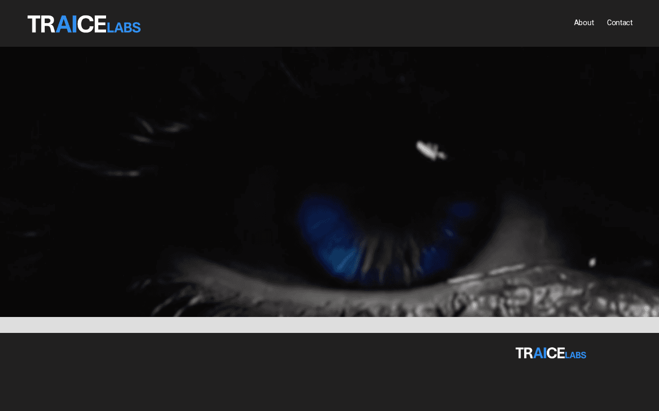 Screenshot of traicelabs.ai