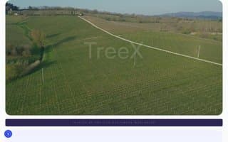 Screenshot of treex.ai