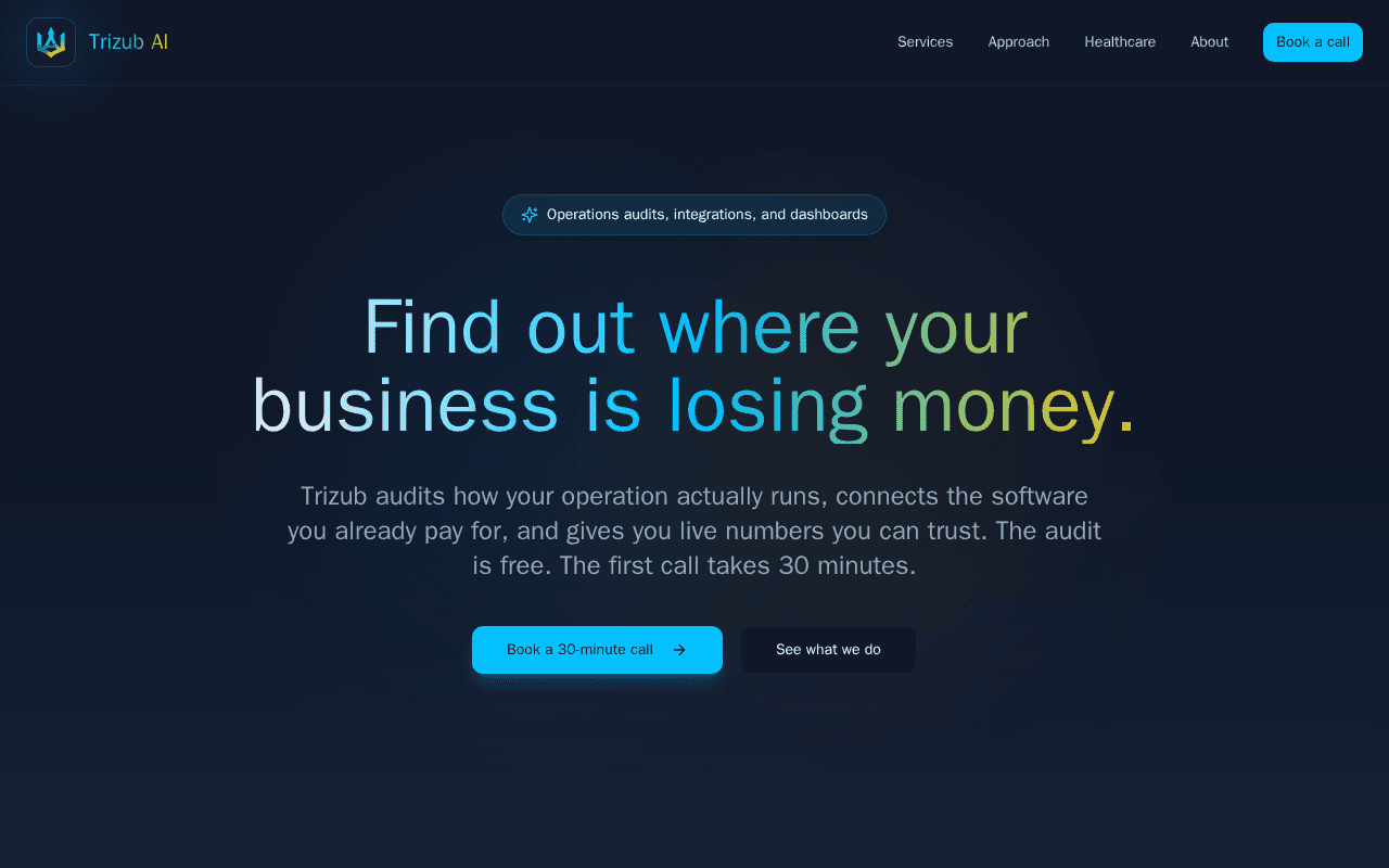 Screenshot of trizub.ai
