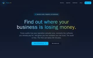 Screenshot of trizub.ai