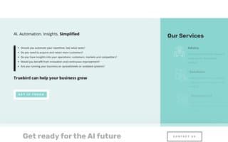 Screenshot of truebird.ai