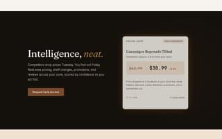 Screenshot of useneat.ai