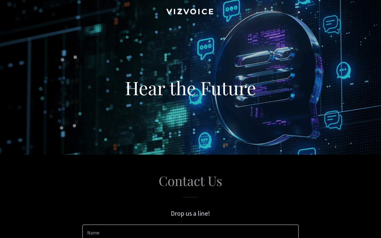 Screenshot of vizvoice.ai