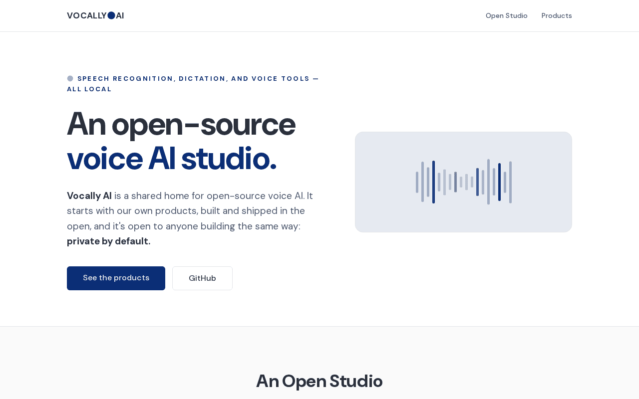 Screenshot of vocally.ai