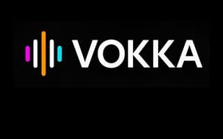 Screenshot of vokka.ai