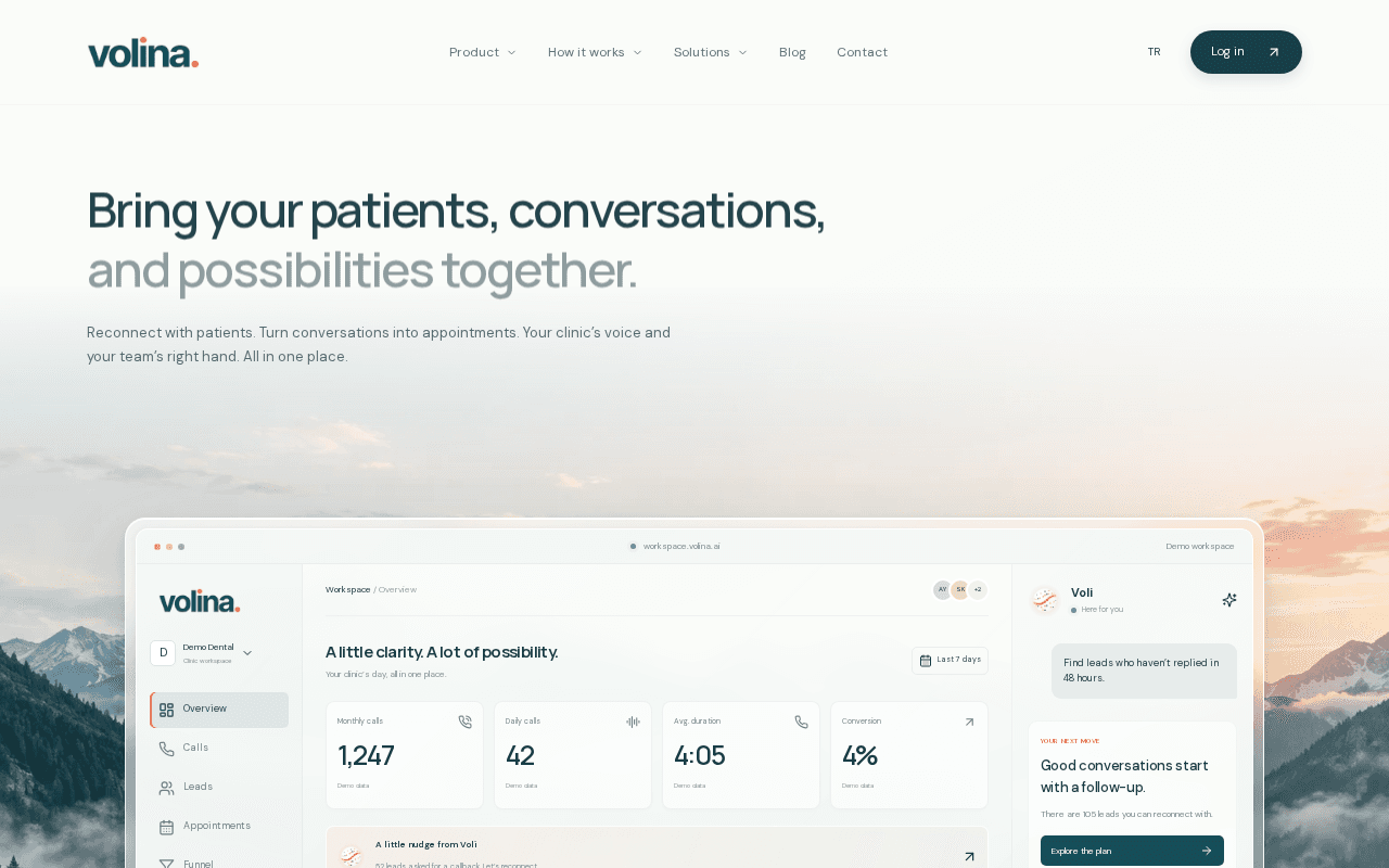 Screenshot of volina.ai