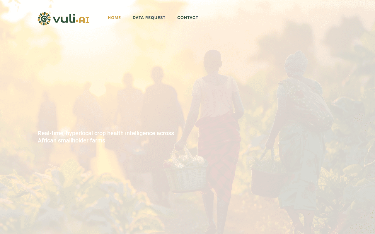 Screenshot of vuli.ai