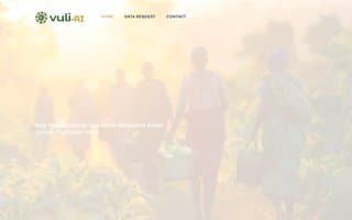 Screenshot of vuli.ai