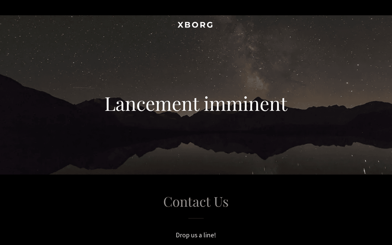 Screenshot of xborg.ai
