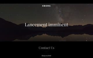 Thumbnail of xborg.ai