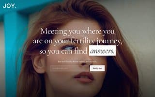 Screenshot of yourjoy.ai