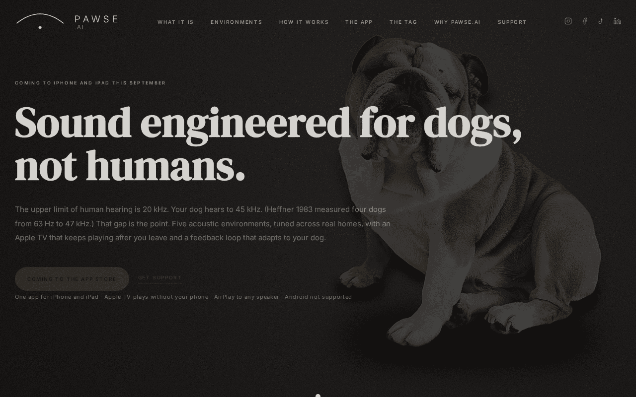 Screenshot of pawse.ai