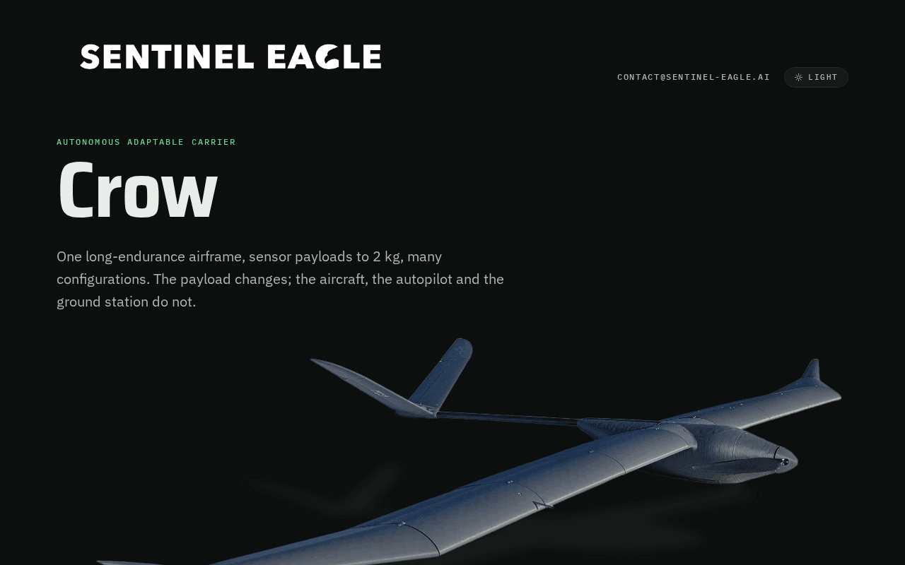 Screenshot of sentinel-eagle.ai