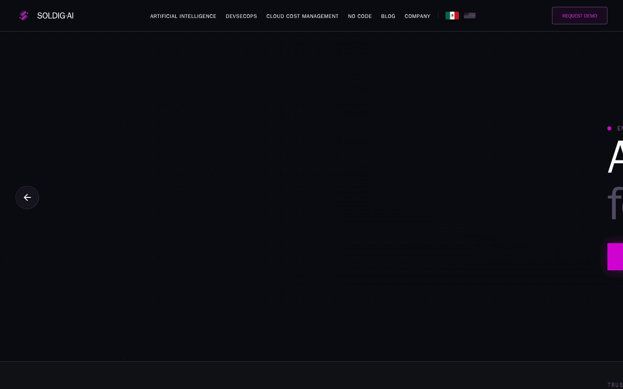 Screenshot of soldig.ai