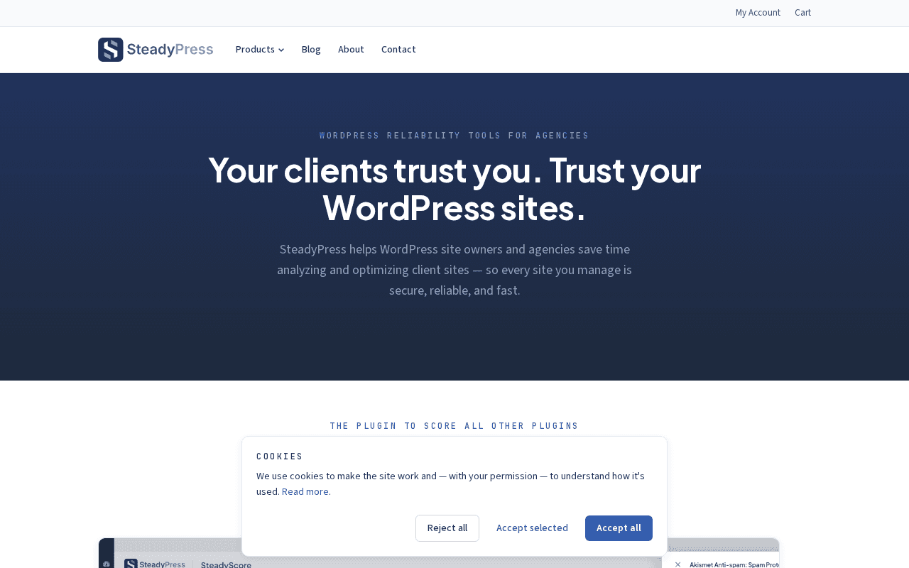 Screenshot of steadypress.ai